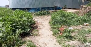  কষ্টে গ্রামবাসী পাকা রাস্তার অভাবে 