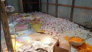 কারখানা সিলগালা নামিদামি ব্র্যান্ডের মোড়কে নকল জুস